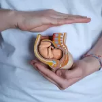 Yolk Kesesi Nedir? Yolk Kesesi Ne Zaman Görülür?